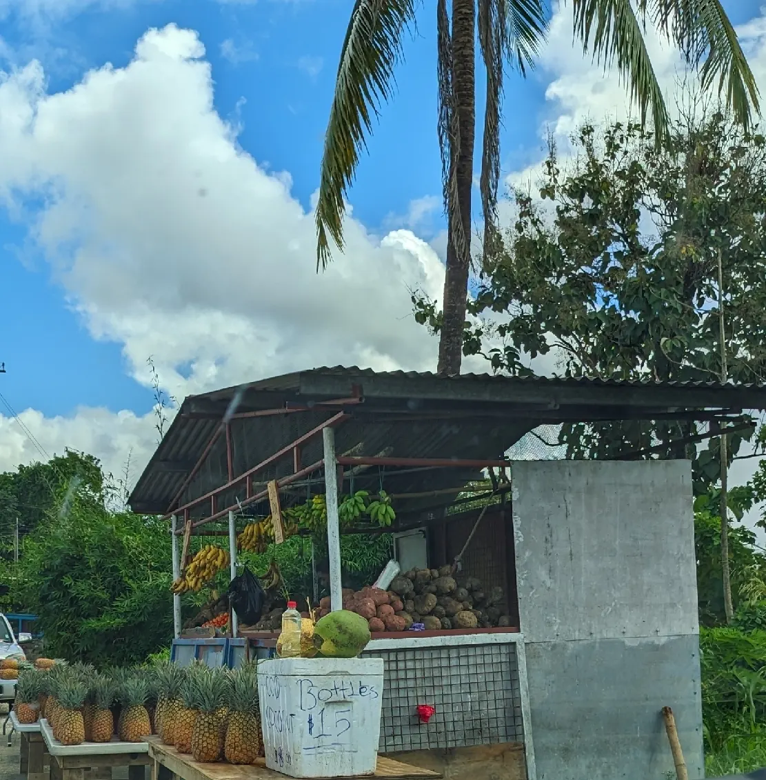 A roadside fruit and vegetable stall in south Trinidad with coconuts, pineapples and green fig