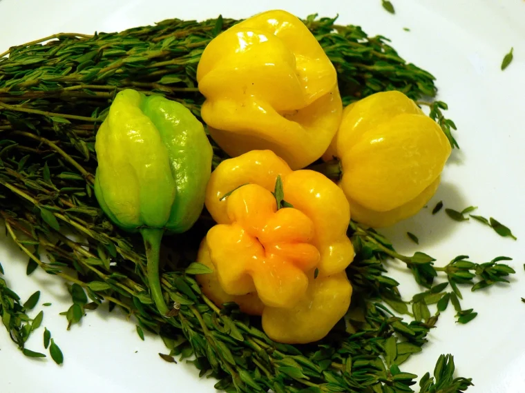 Yellow and green Scotch bonnet peppers on a bed of fresh thyme