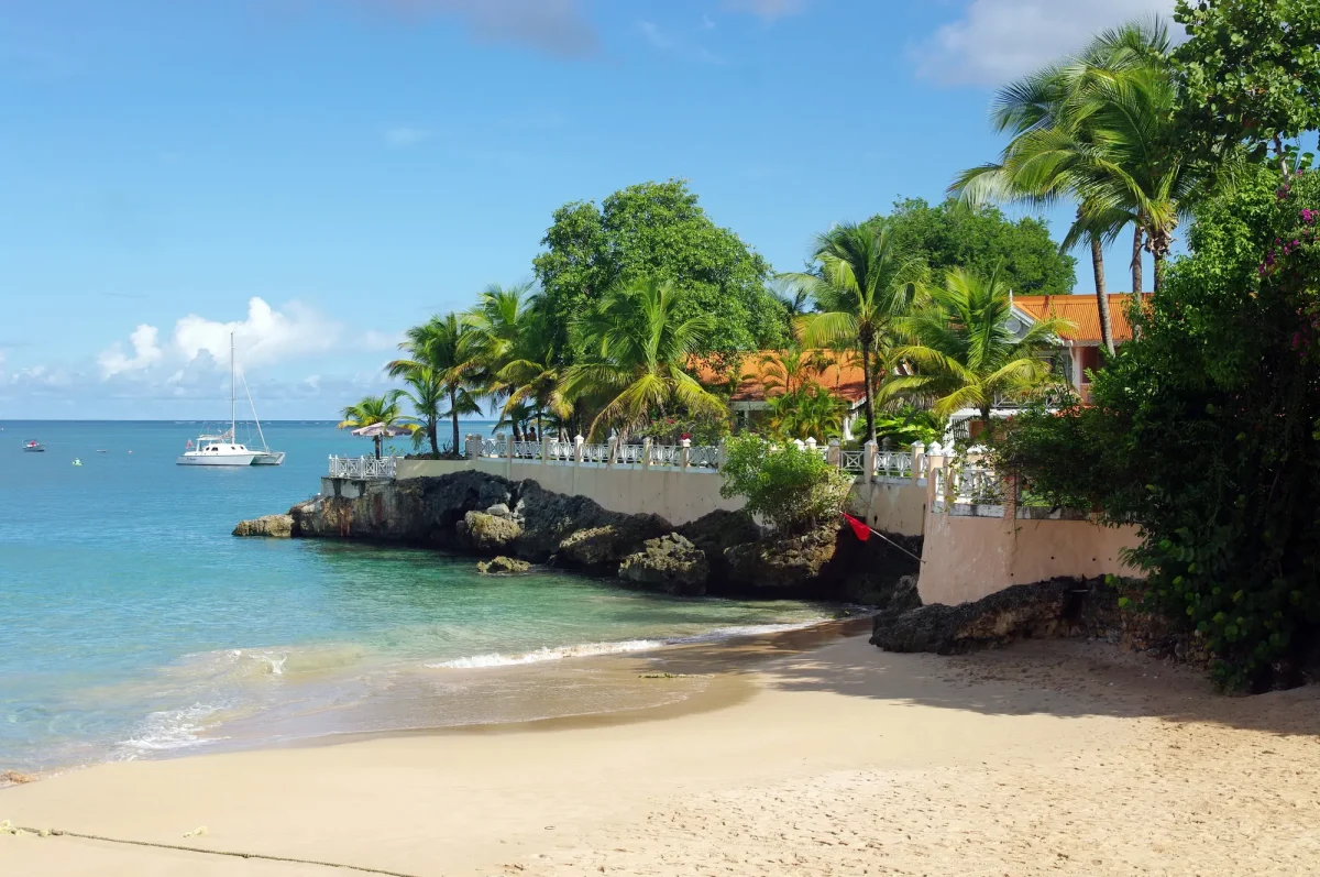 The beach at Store Bay, Tobago, with clear water and palm trees
